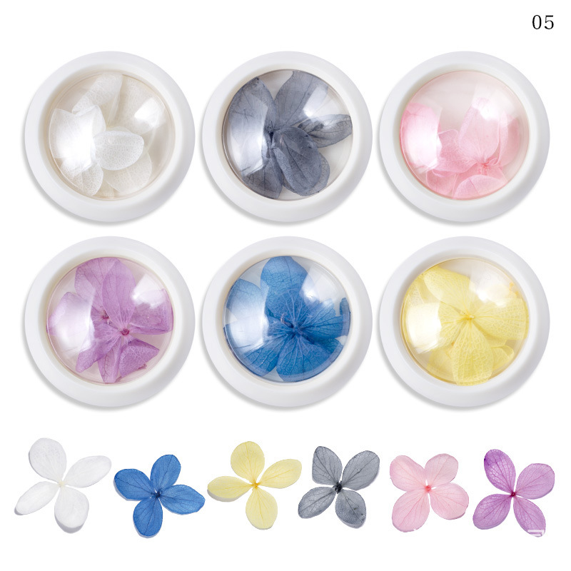 Nail Dry Flower Decoration in Jar