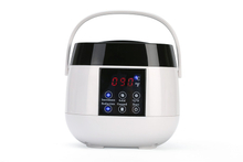 500cc Intelligent Temperature Control Wax Heater