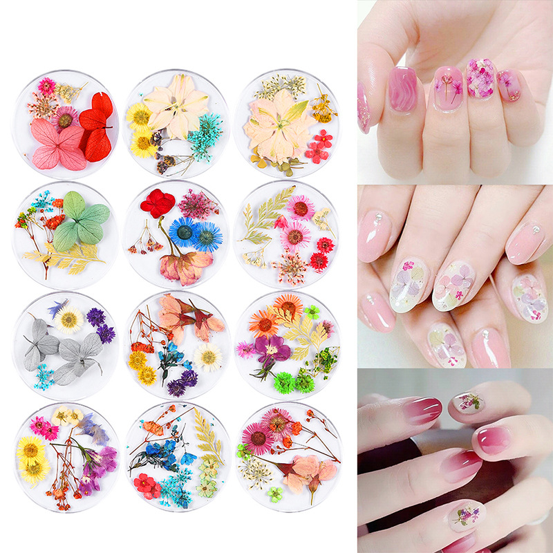 Mixed Nail Dry Flower