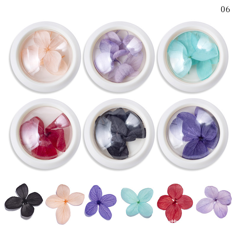 Nail Dry Flower Decoration in Jar