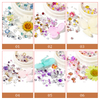 Mix Design Nail Art Rhinestone Alloy Decoration with Dry Flower