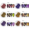 9D Cat Eye Nail Powder