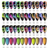 9D Cat Eye Nail Powder